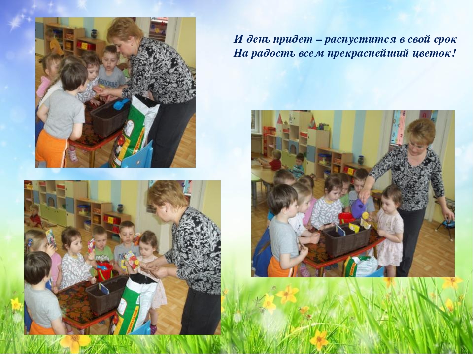 Проект «Подари цветок Земле»