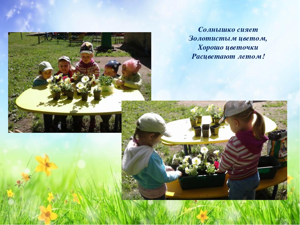 Проект «Подари цветок Земле»