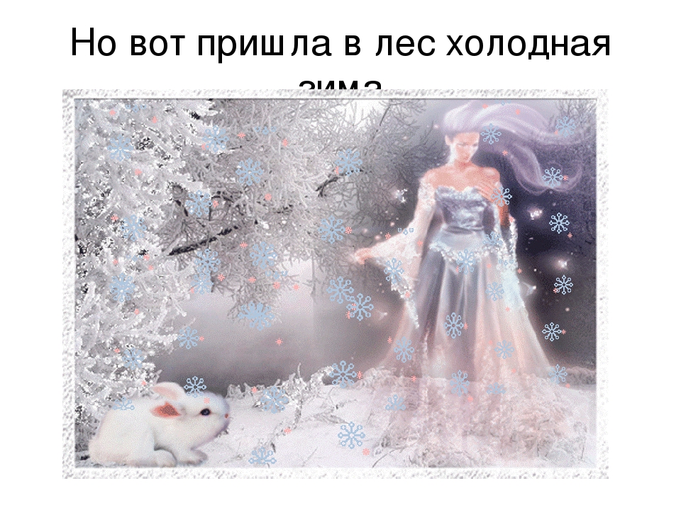 Презентация для детей дошкольного возраста "Где живут звери?"