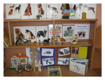 Picture 1