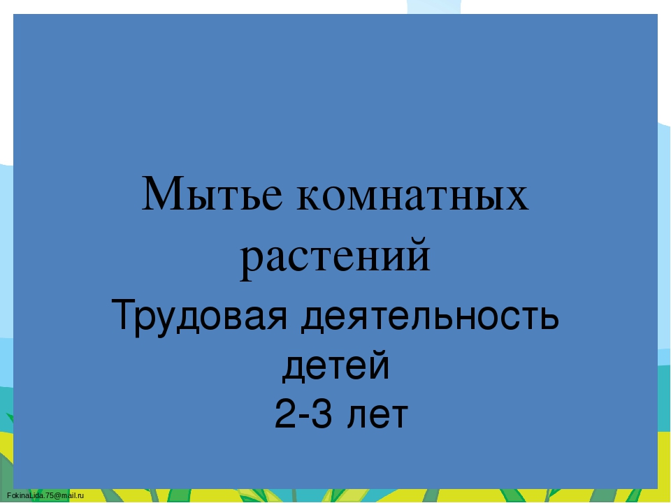 Презентация трудовой деятельности детей младшей группы: "Мытье комнатных растений"