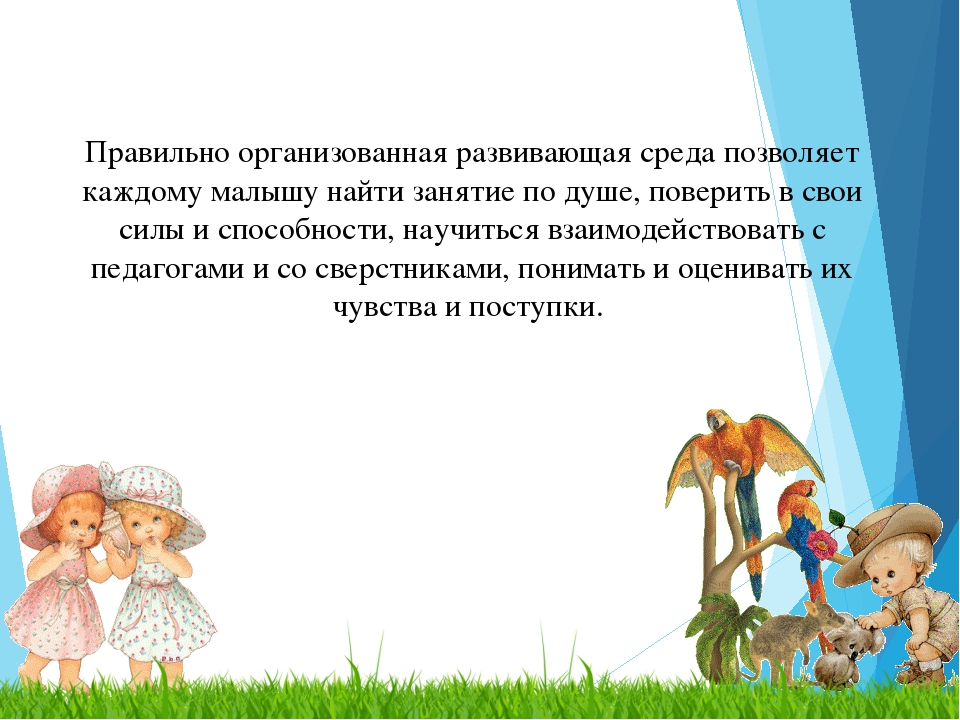 Презентация: "Организация развивающей предметно-пространственной среды в первой младшей группе."