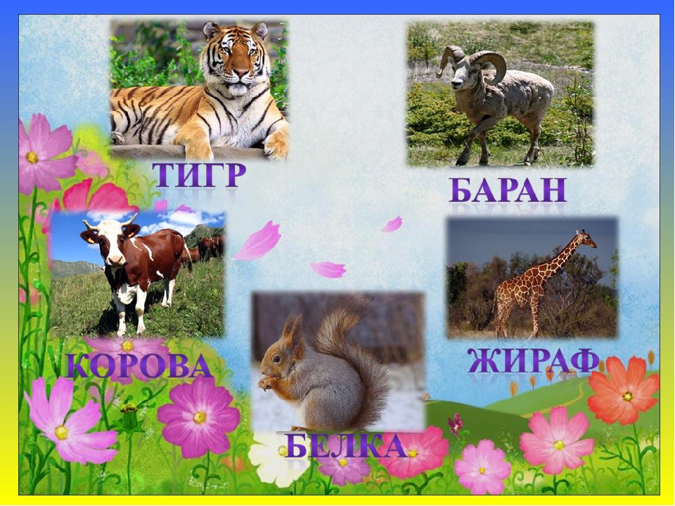 Презентация к занятию для подготовительной группы