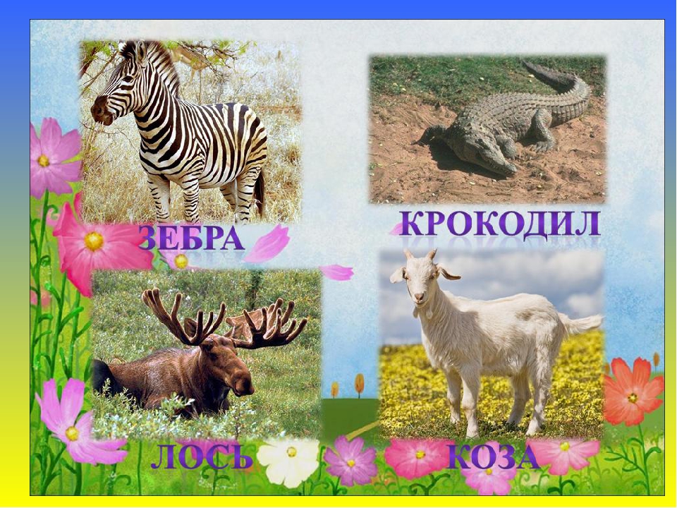 Презентация к занятию для подготовительной группы