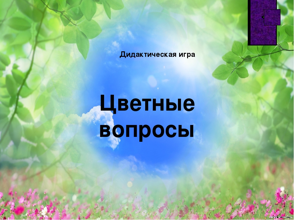 Дидактическая игра "Цветные вопросы"