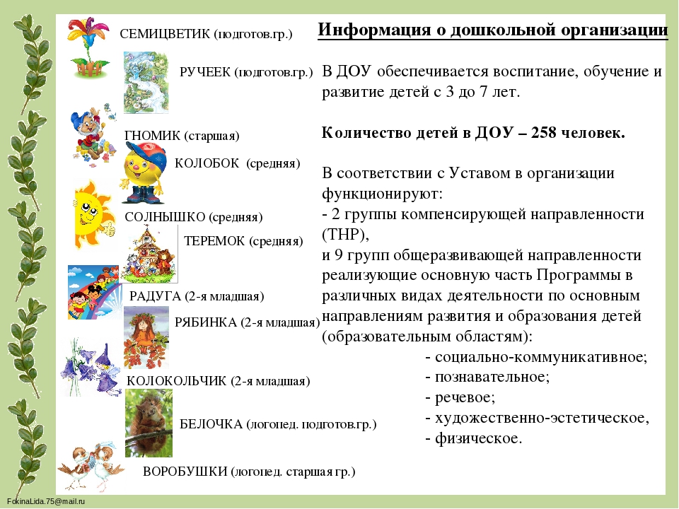 Презентация "Образовательной программы ДОО"