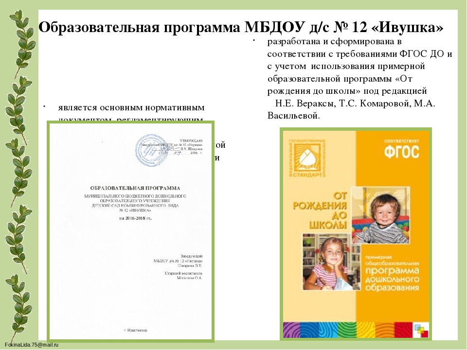Презентация "Образовательной программы ДОО"