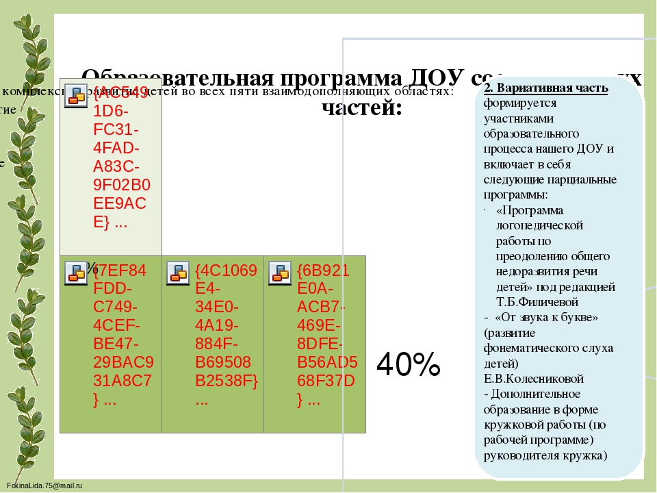 Презентация "Образовательной программы ДОО"