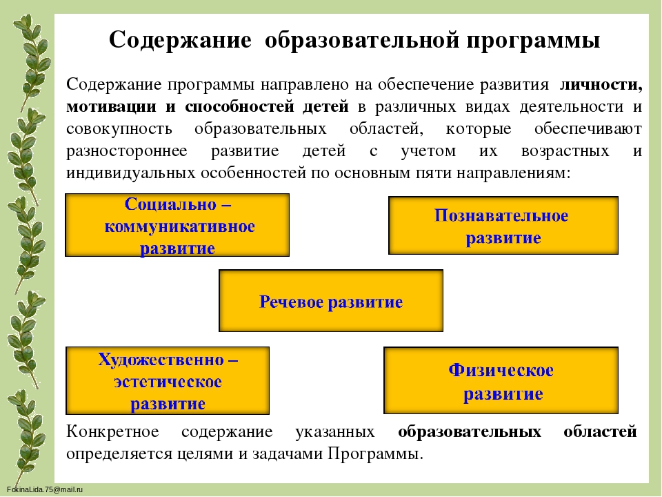 Презентация "Образовательной программы ДОО"
