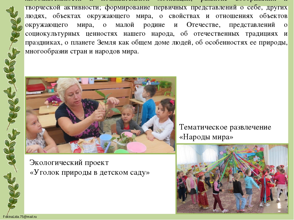 Презентация "Образовательной программы ДОО"