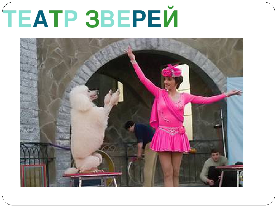 Презентация на тему "Знакомство с театром".