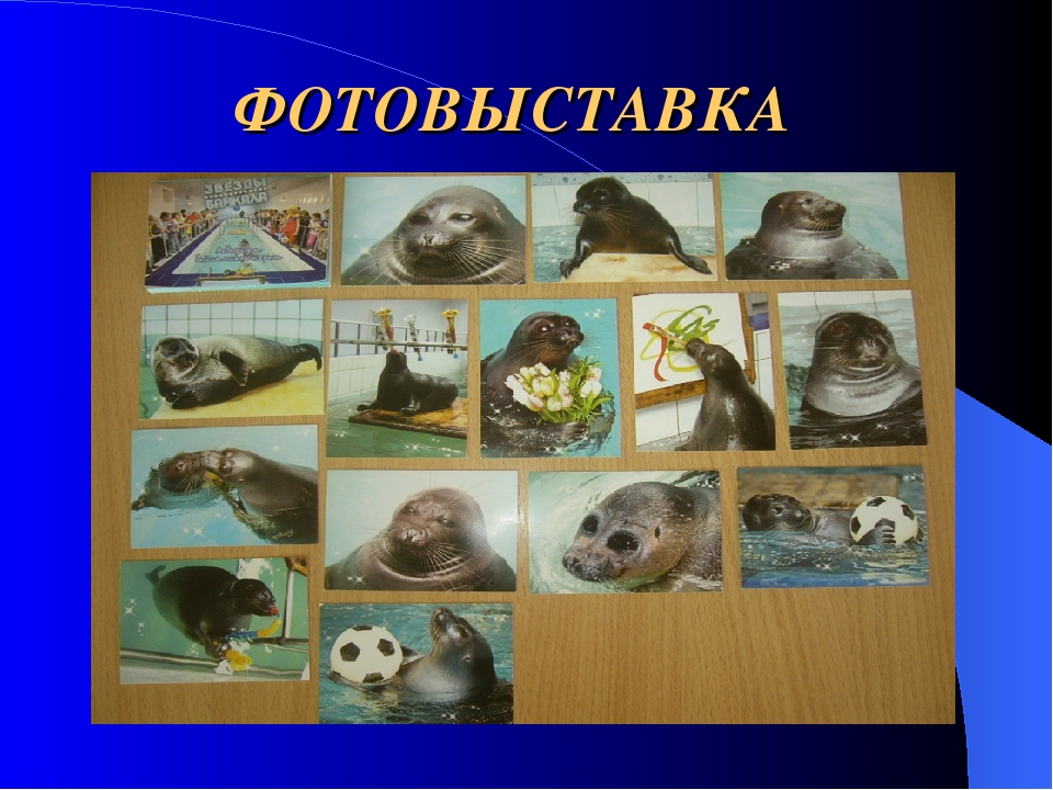 Презентация проекта "Священный Байкал"