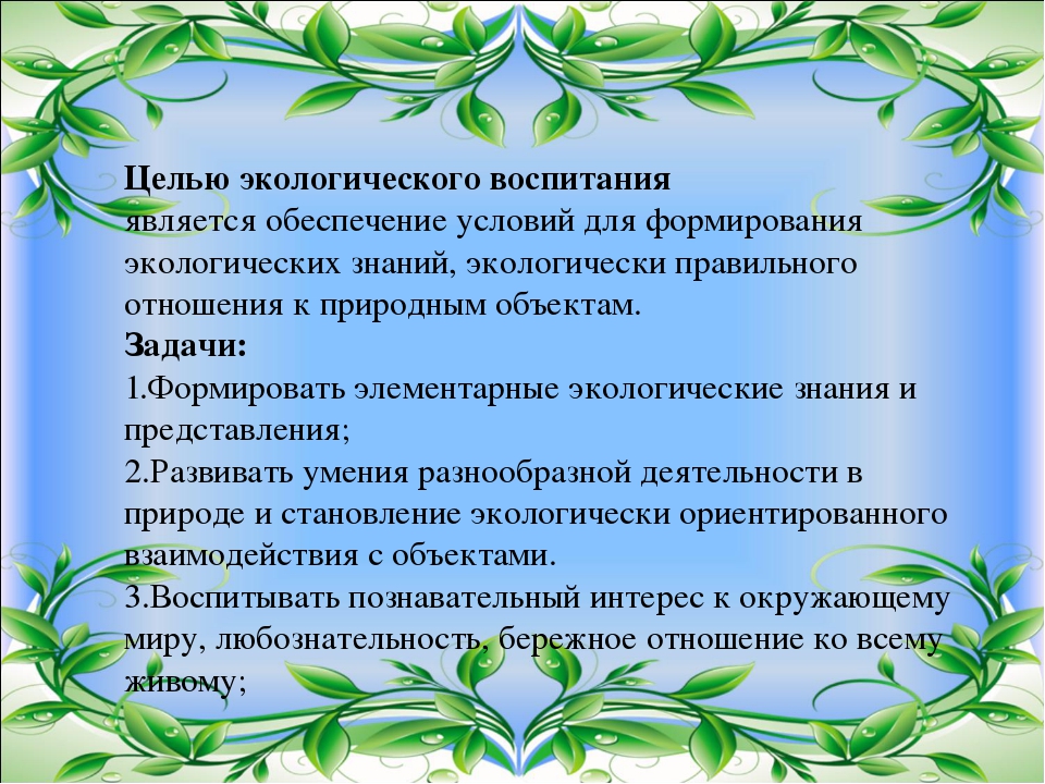 Презентация проекта на тему "Экологическое воспитание"