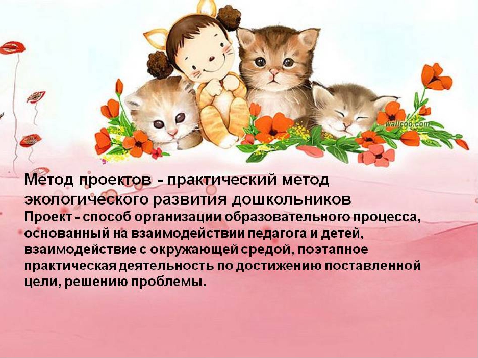 Презентация проекта на тему "Экологическое воспитание"
