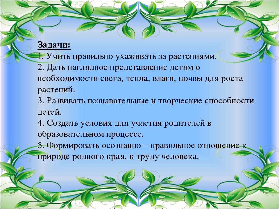 Презентация проекта на тему "Экологическое воспитание"