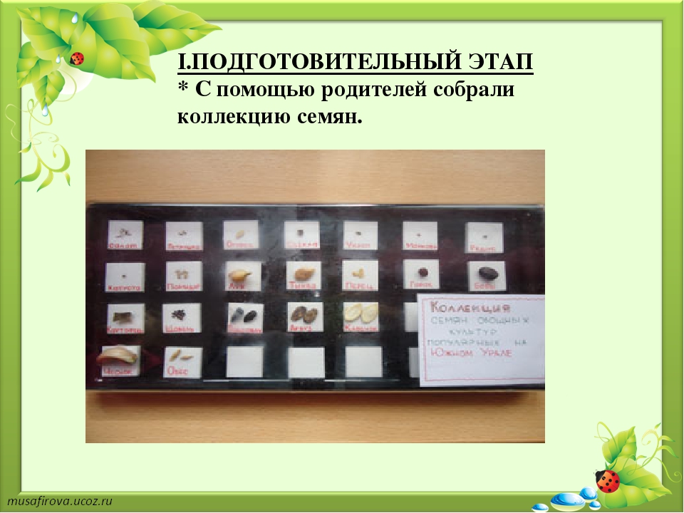 Презентация проекта на тему "Экологическое воспитание"