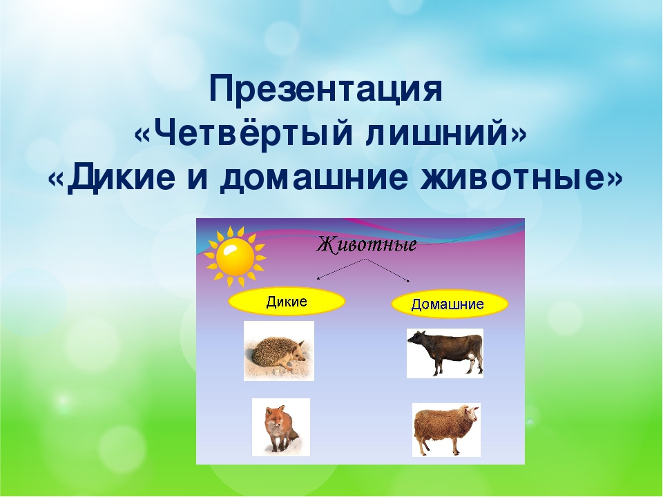 Презентация для 4 5 лет. Четвертый лишний Дикие и домашние животные. 4 Лишний Дикие и домашние животные. Игра четвертый лишний Дикие и домашние животные. Дикие и домашние животные Найди лишнее.