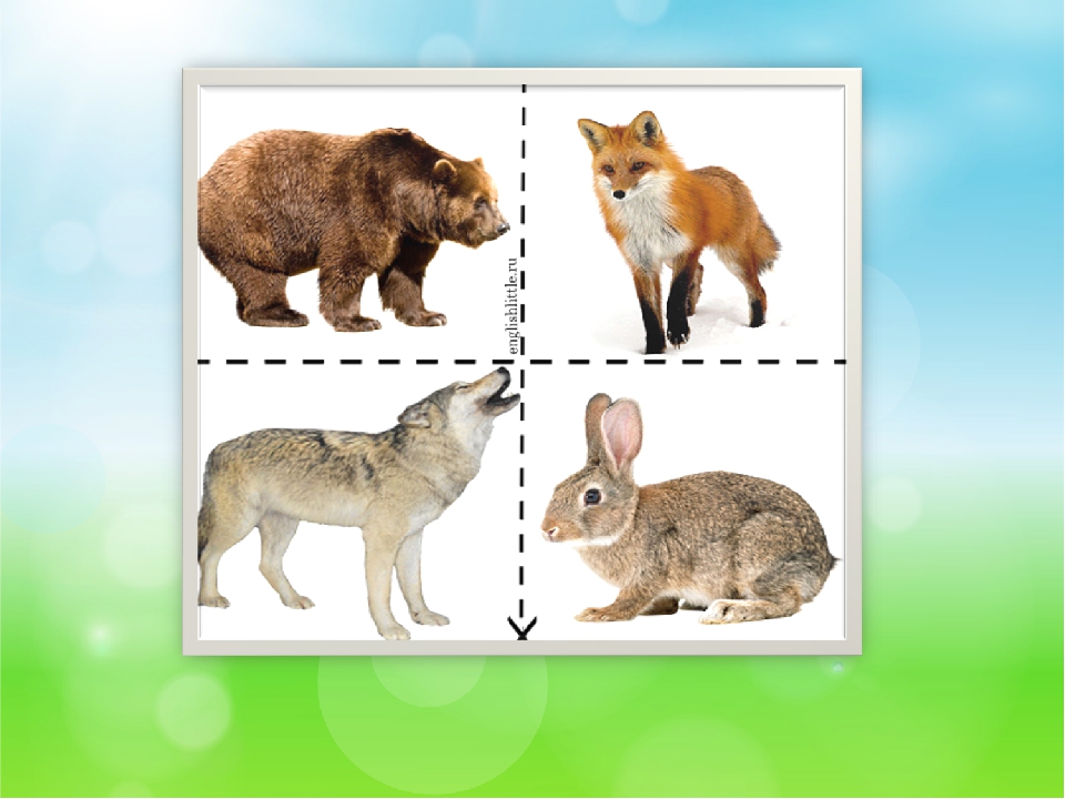 Заяц волк лиса это. Дикие животные для малышей. Карточки с дикими животными для детей. Дикие животные для дошкольников. Четвертый лишний Дикие животные.