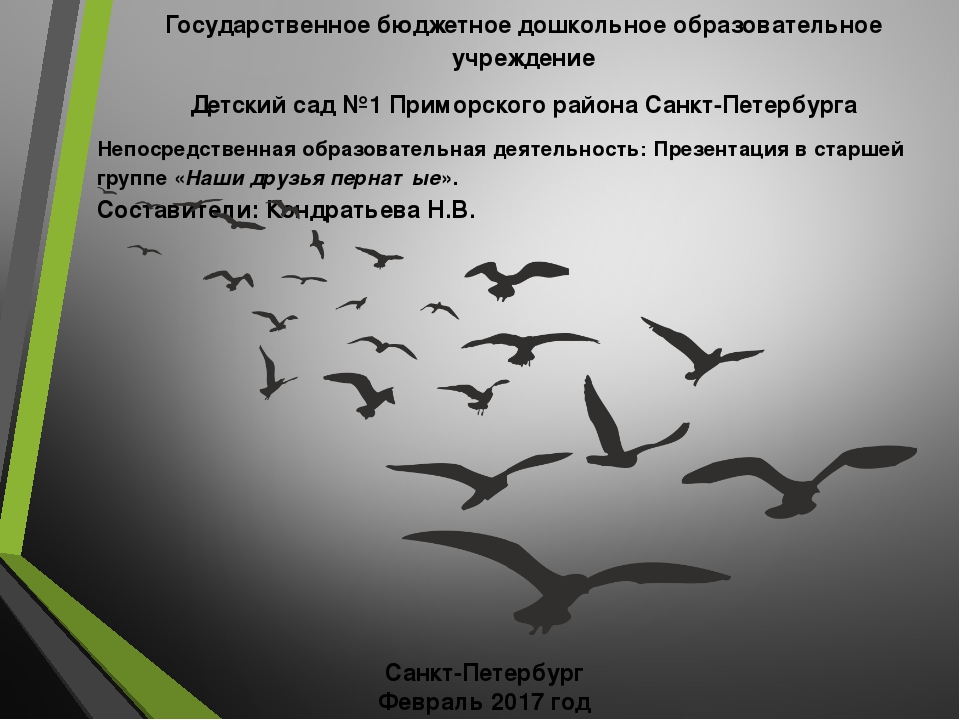 Презентация для детского сада на тему "Наши друзья пернатые"