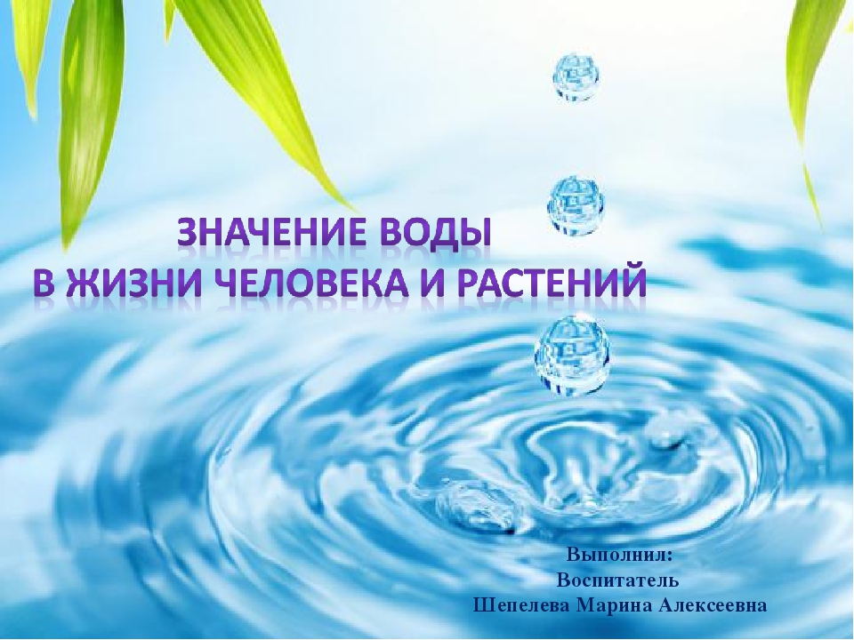 Вода в жизни растений. Значение воды в жизни человека. Роль воды в жизни растений. Роль воды в природе и жизни человека. Значение воды для растений.