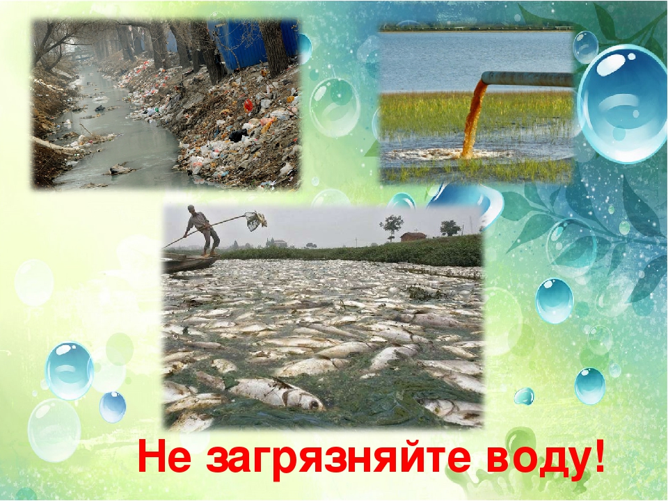 Берегите водоемы. Не загрязняйте воду. Загрязнение воды для дошкольников. Загрязнение воды берегите воду. Не загрязнять воду.