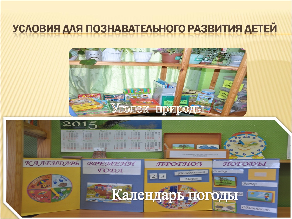 «Создание развивающей предметно-пространственной среды в ДОО»