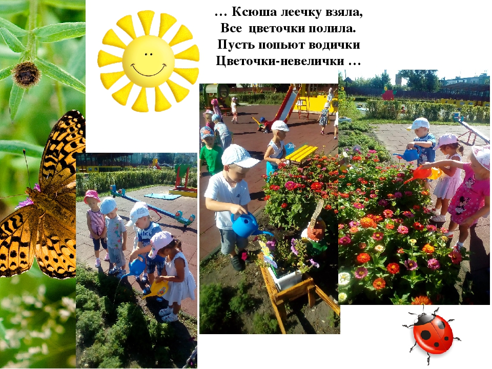 Отчет о проделанной работе в летний – оздоровительный период во второй младшей группе "Веснушки лета"