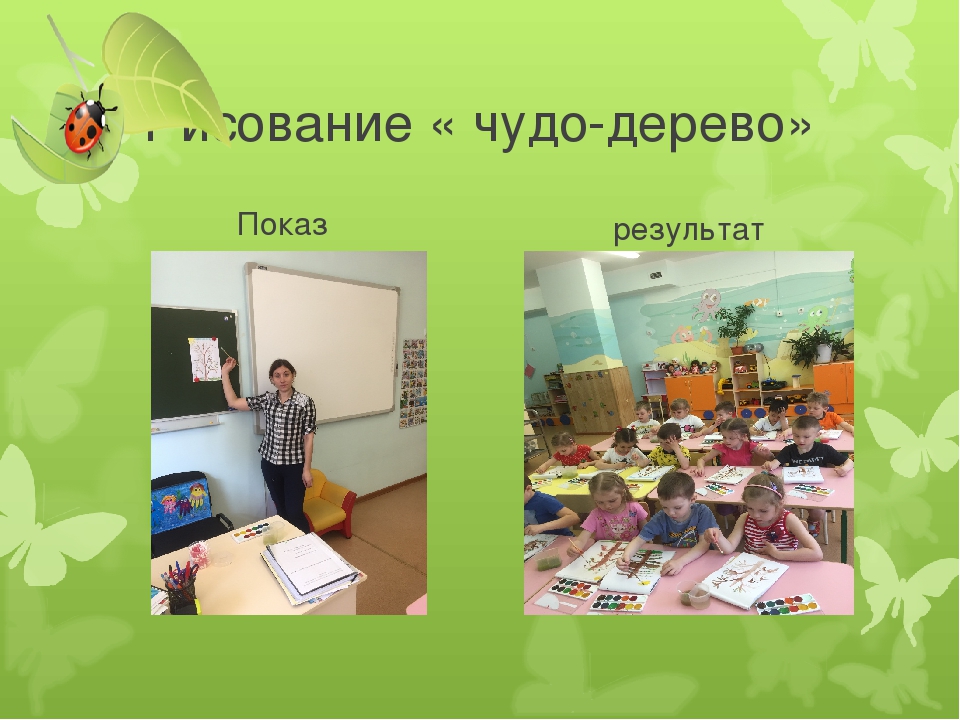 Презентация на тему:«Экологическое воспитание как метод формирования начал экологической культуры у дошкольников.