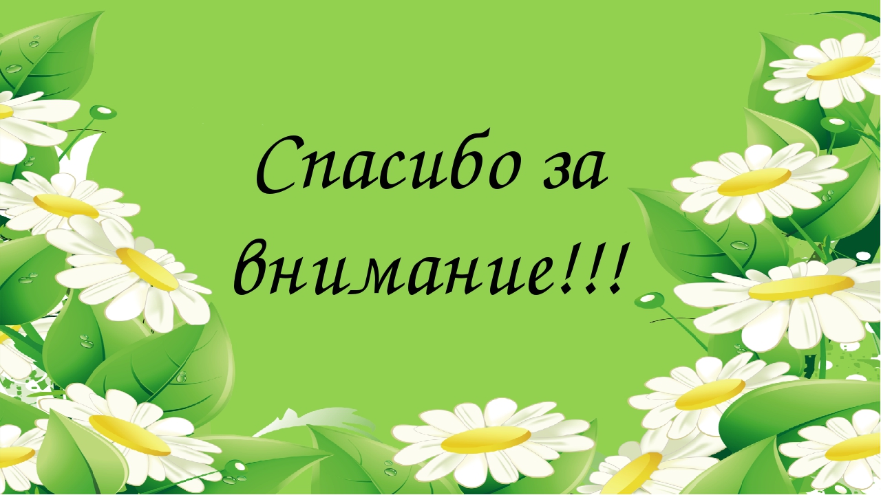 Отчет за летний период.