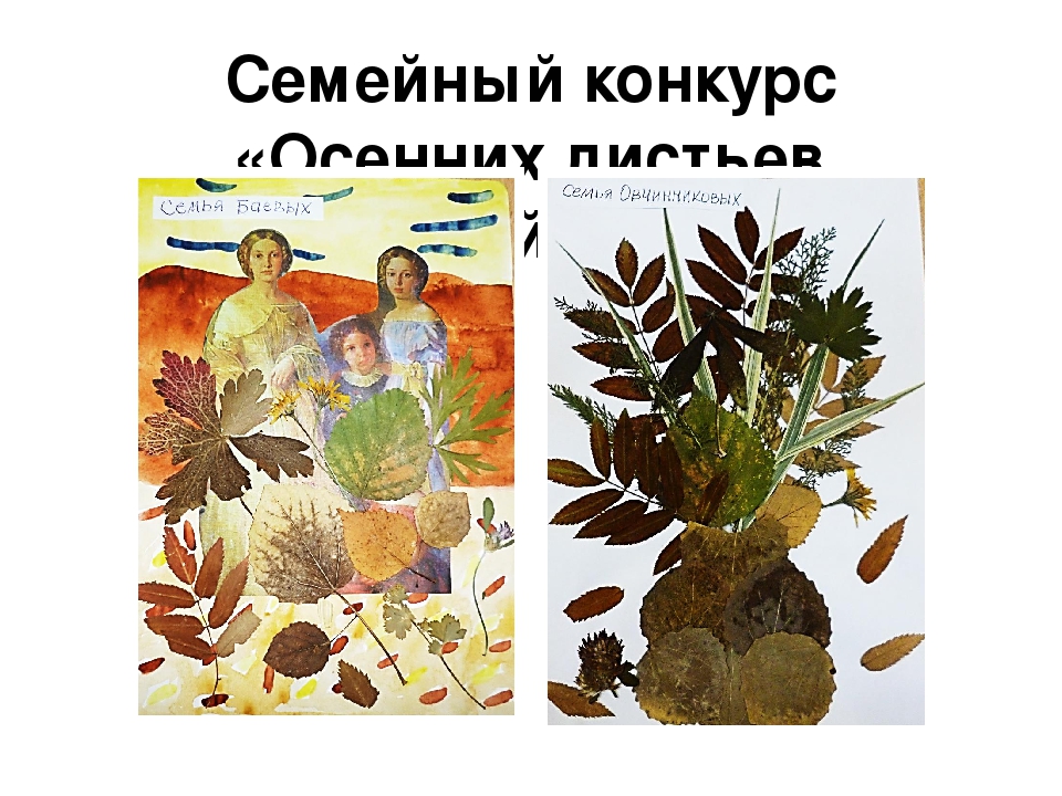 Презентация : "Использование нетрадиционных форм взаимодействия с родителями"