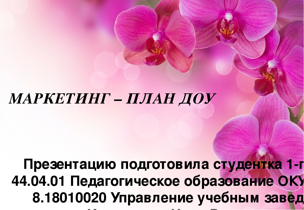 Презентация на тему: " Маркетинг- план МДОУ"