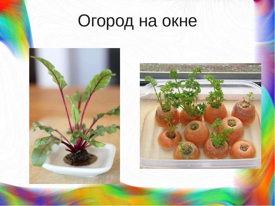«Экспериментирование как современная форма развития детей дошкольного возраста»