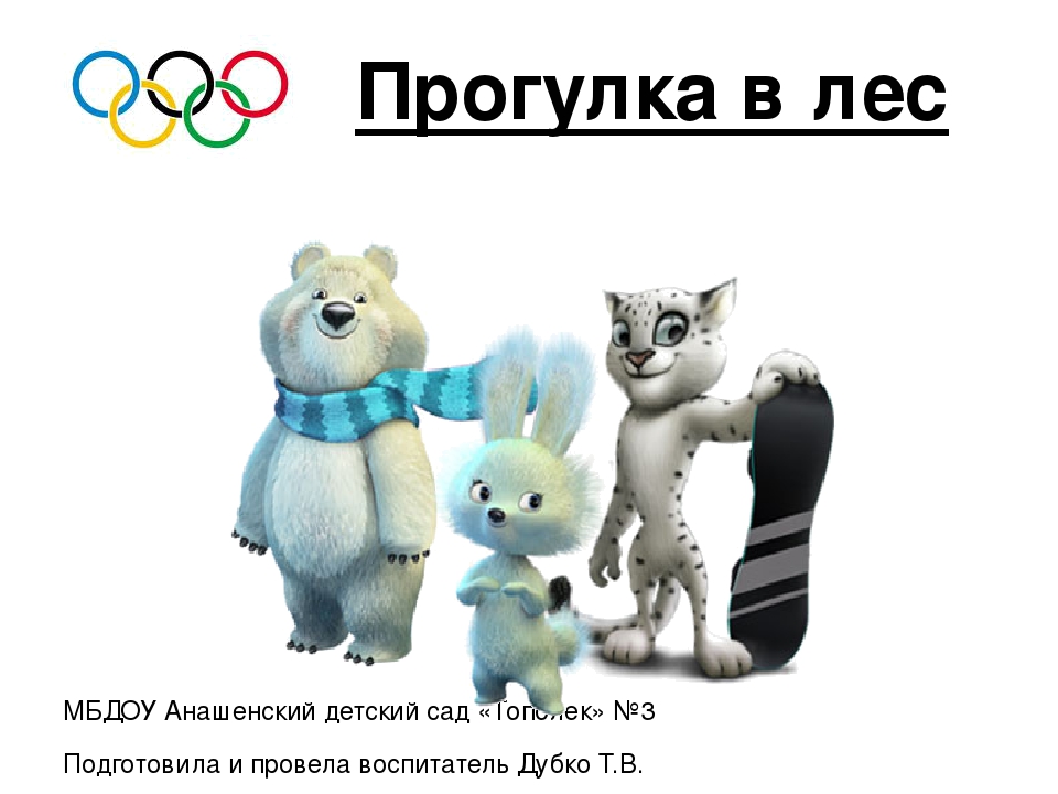 Презентация к мультимедийному занятию.