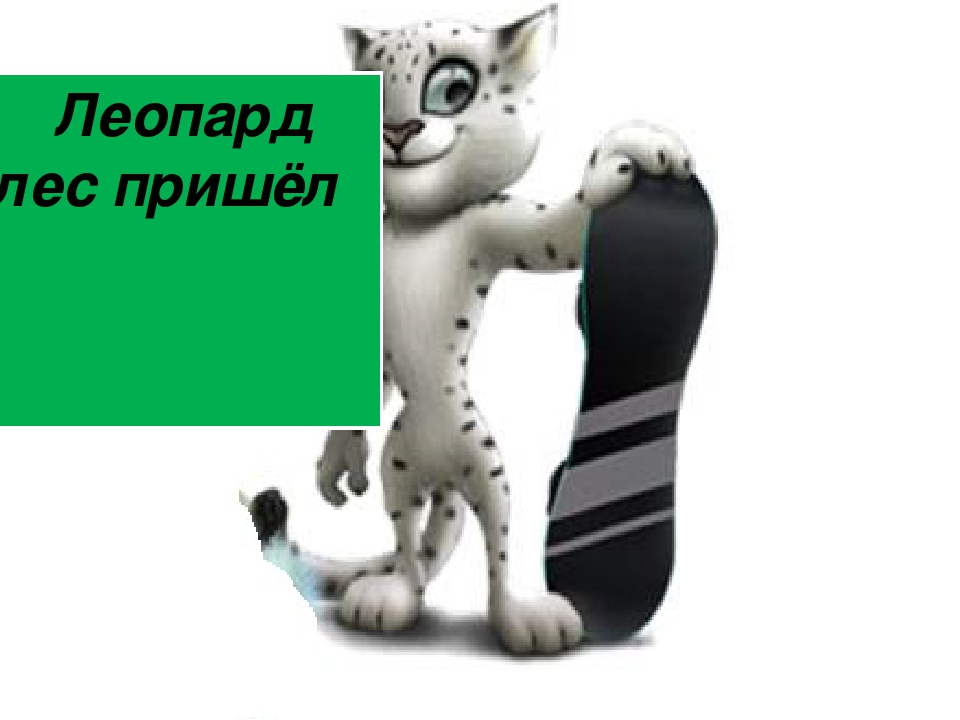 Презентация к мультимедийному занятию.