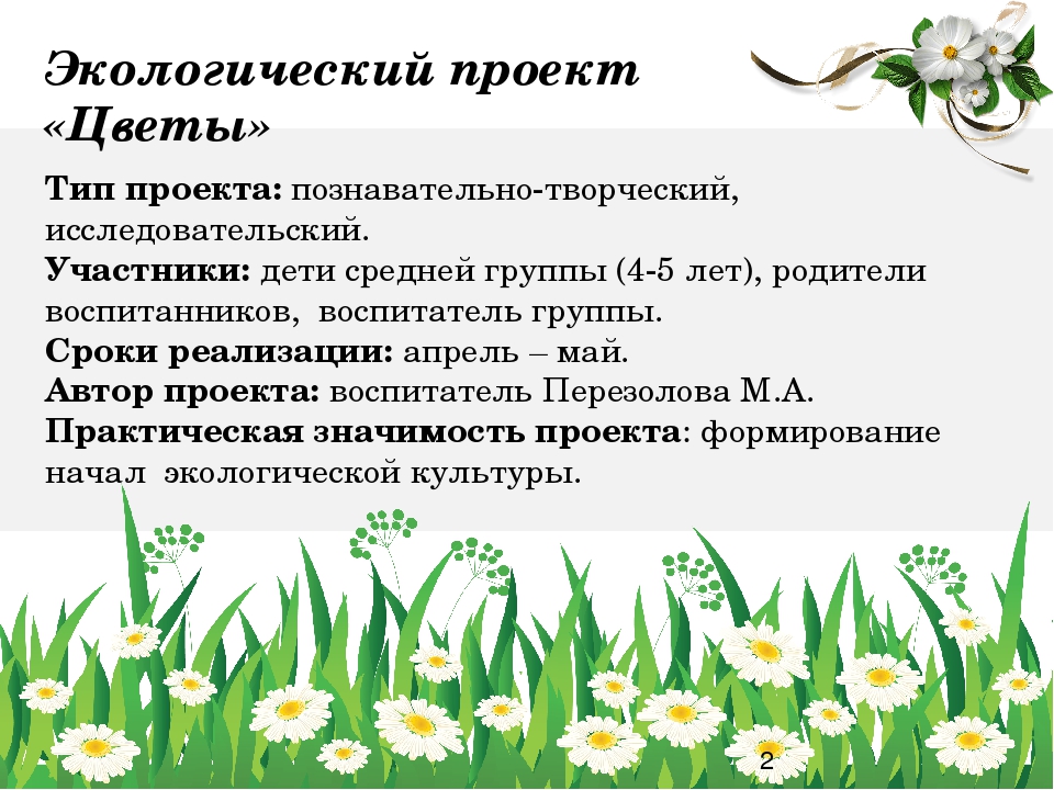 Проект "Цветы" для среднего дошкольного возраста (4-5 лет)