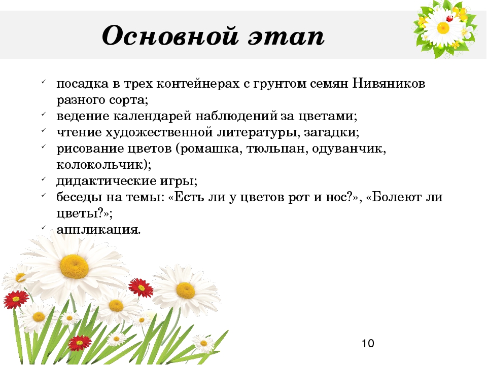 Проект "Цветы" для среднего дошкольного возраста (4-5 лет)