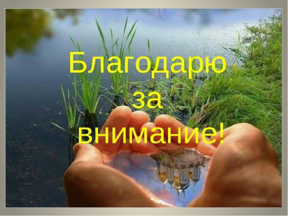Презентация по безопасности в природе