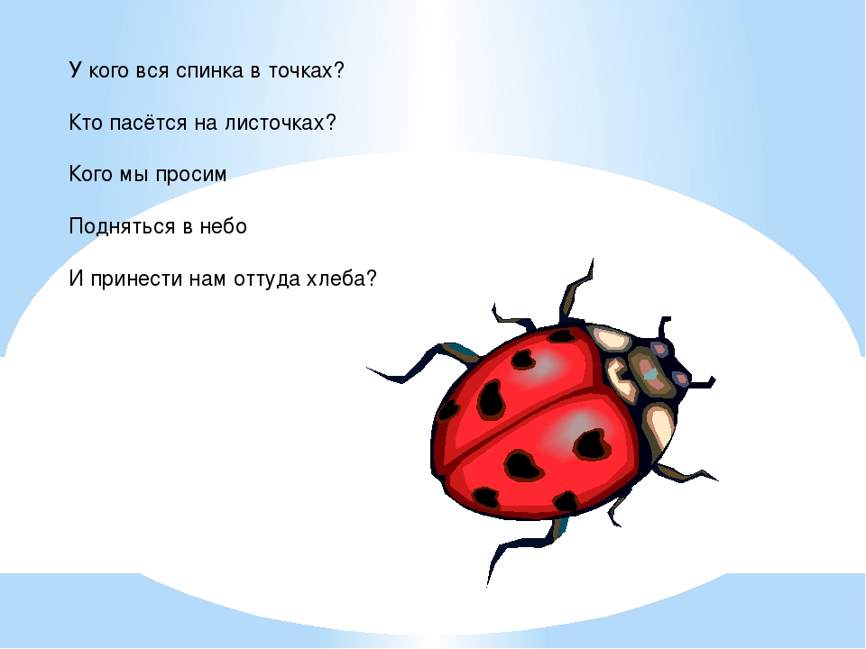 Презентация в средней группе "Насекомые"