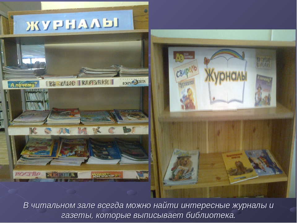 Презентация "Экскурсия в библиотеку"