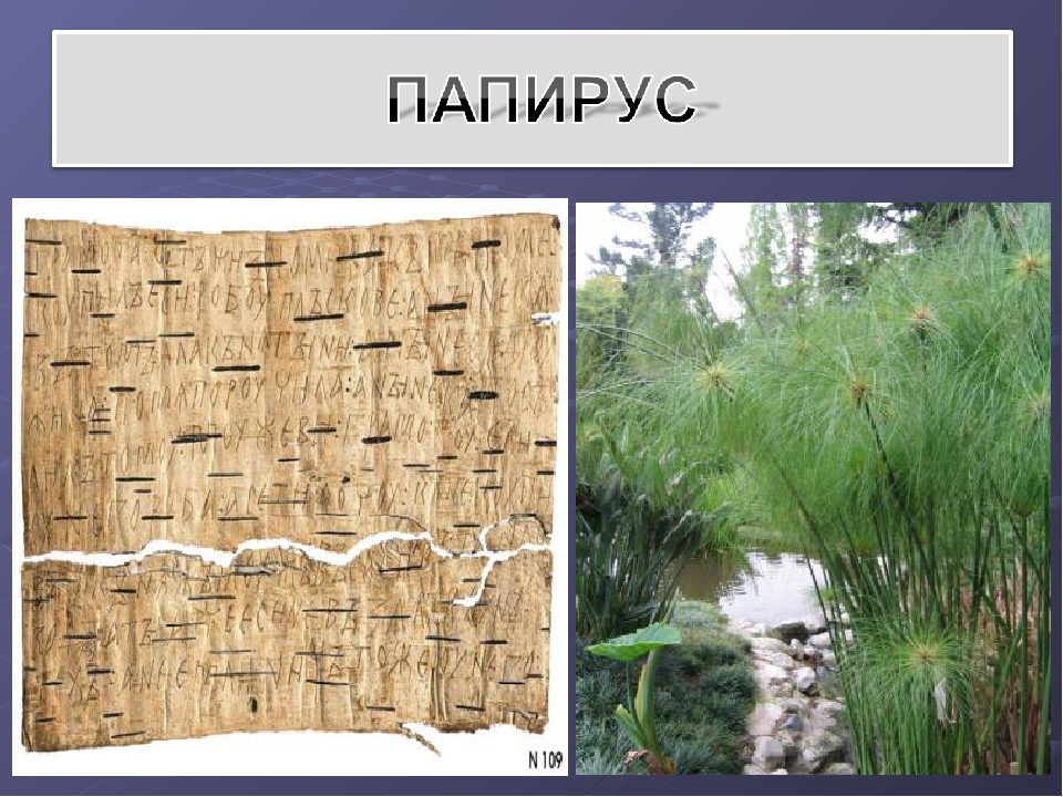 Презентация "Экскурсия в библиотеку"