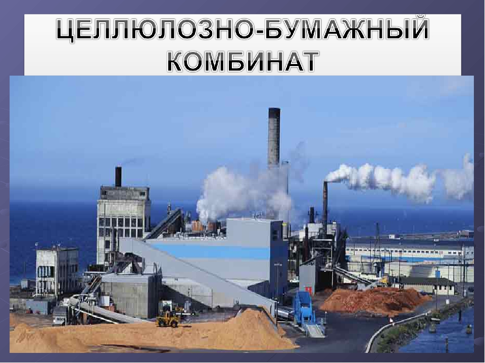 Презентация "Экскурсия в библиотеку"