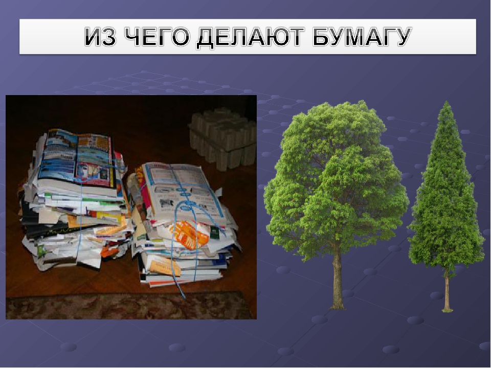 Презентация "Экскурсия в библиотеку"