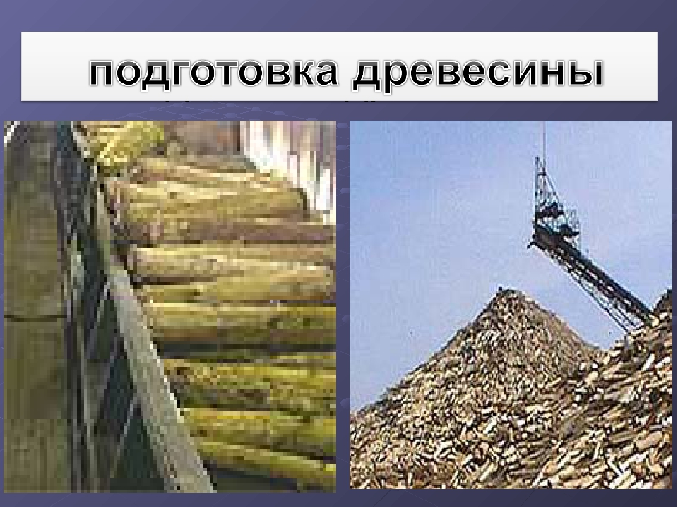 Презентация "Экскурсия в библиотеку"