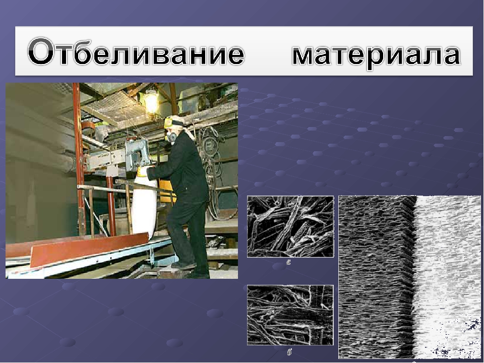 Презентация "Экскурсия в библиотеку"