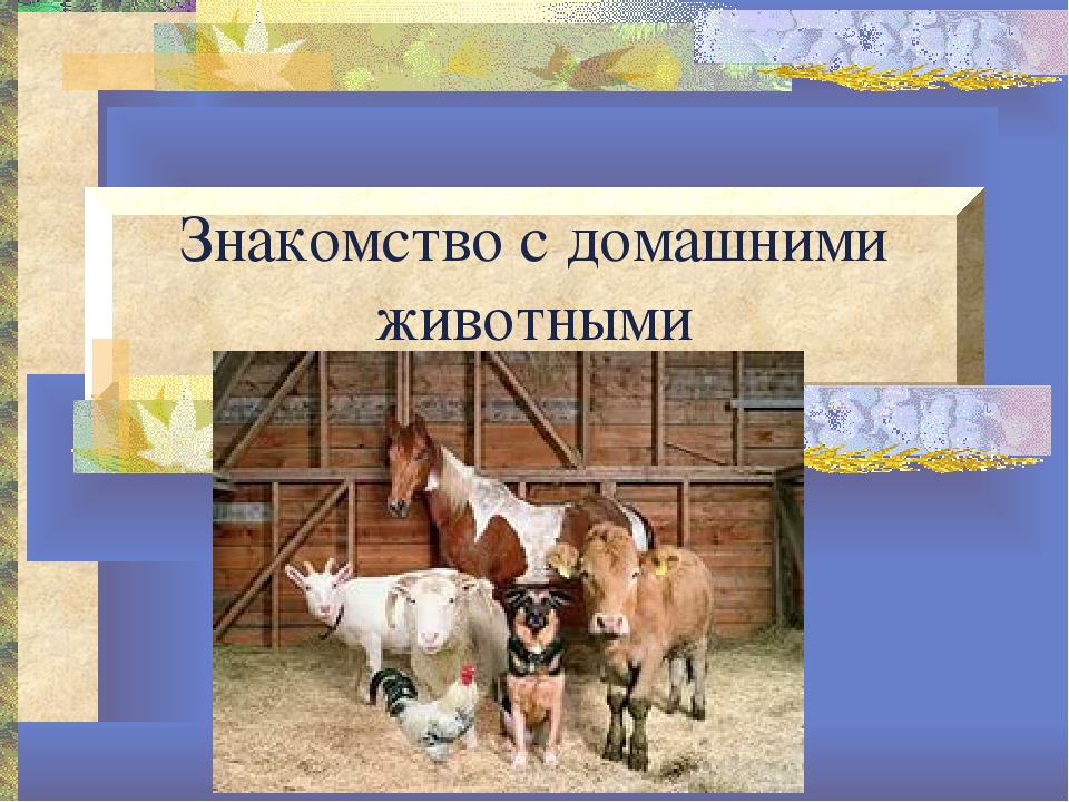 Презентация к конспекту "Домашние животные"