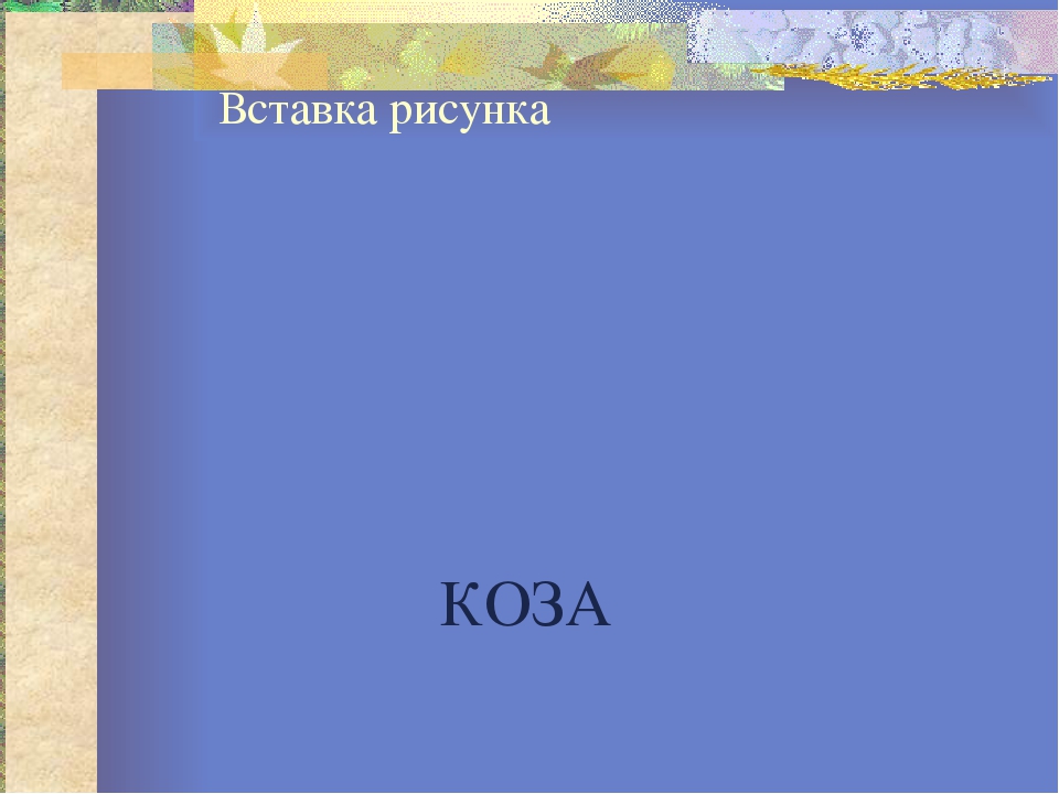 Презентация к конспекту "Домашние животные"