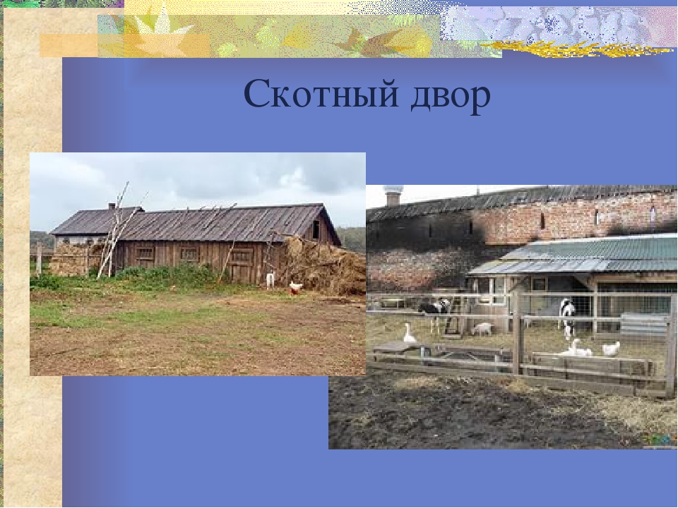 Презентация к конспекту "Домашние животные"