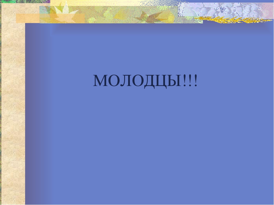 Презентация к конспекту "Домашние животные"