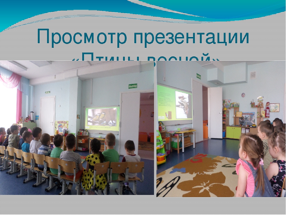 Презентация проекта " Птицы"