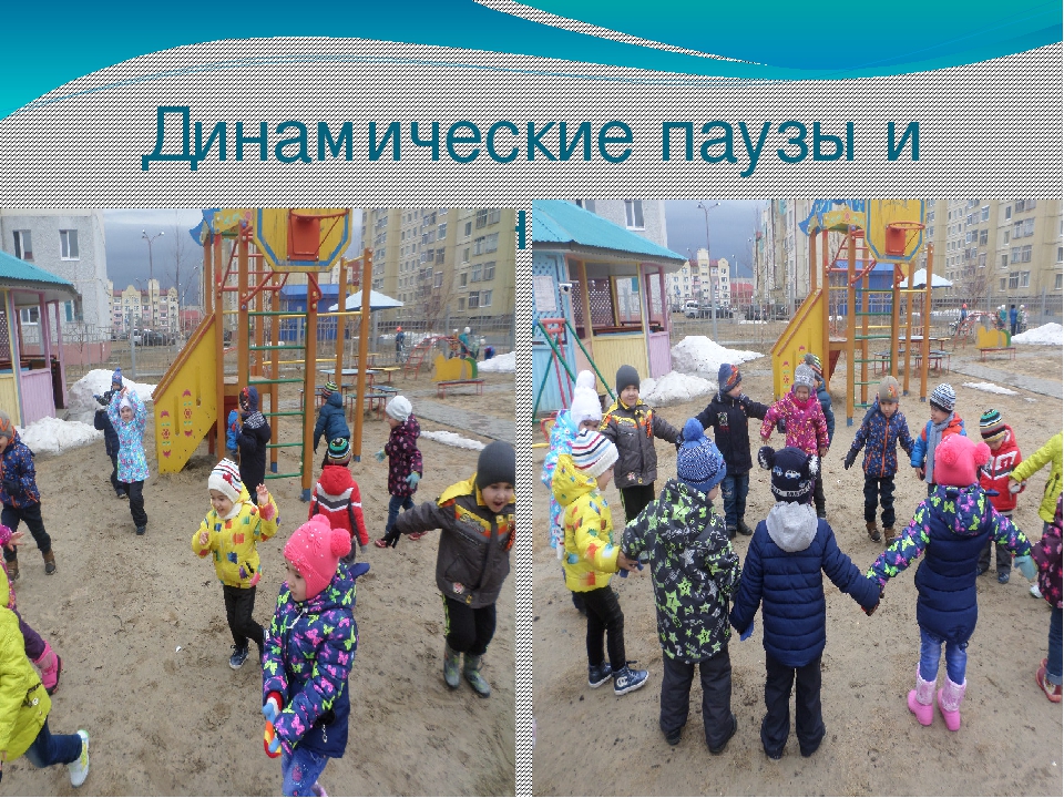 Презентация проекта " Птицы"